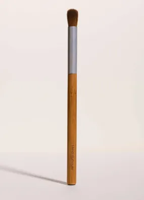 Blending EyeColor Brush