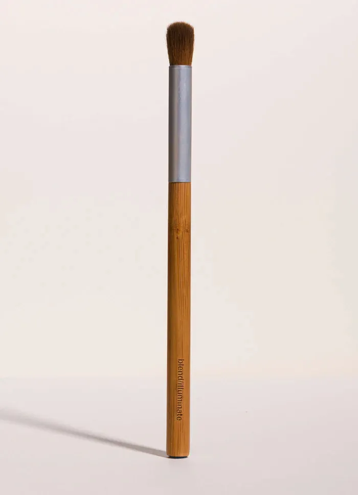 Blending EyeColor Brush