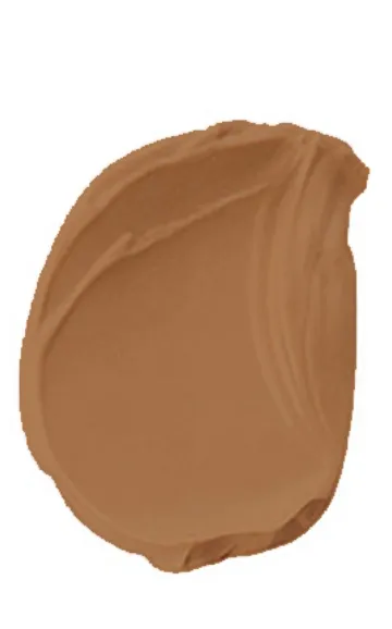 Blue Beauty Full Coverage Concealer