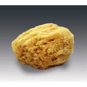 Natural Sea Sponge Applicator